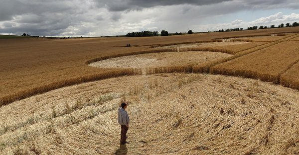 L-ENIGMA-DEI-CERCHI-NEL-GRANO--PARTE-II