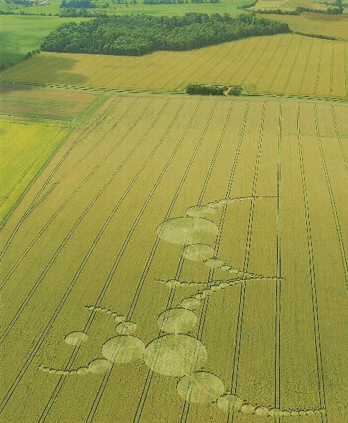 L-ENIGMA-DEI-CERCHI-NEL-GRANO--PARTE-III
