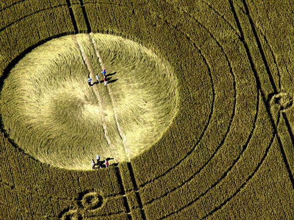 L-ENIGMA-DEI-CERCHI-NEL-GRANO--PARTE-II