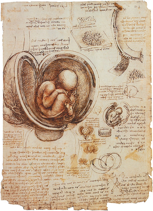 Paracelsus-and-The-Quintessential-of-Life