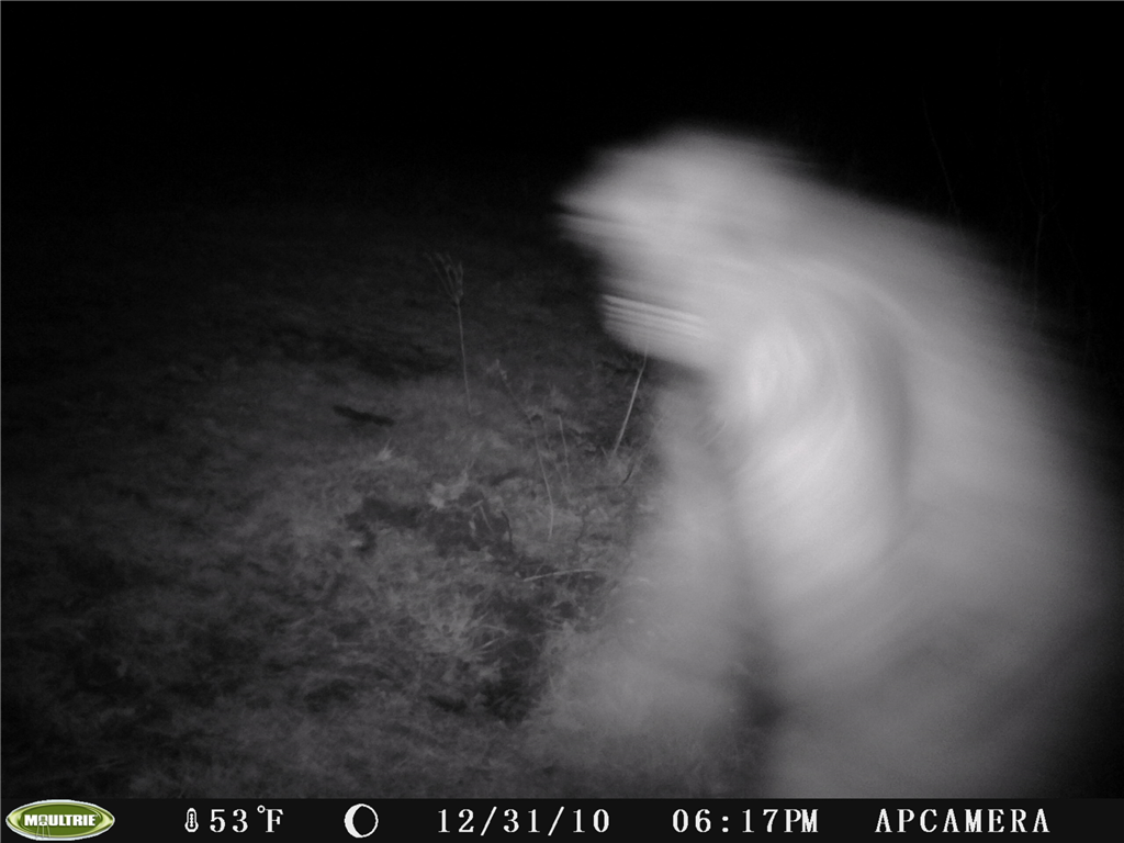 Sasquatch-A-Walk-In