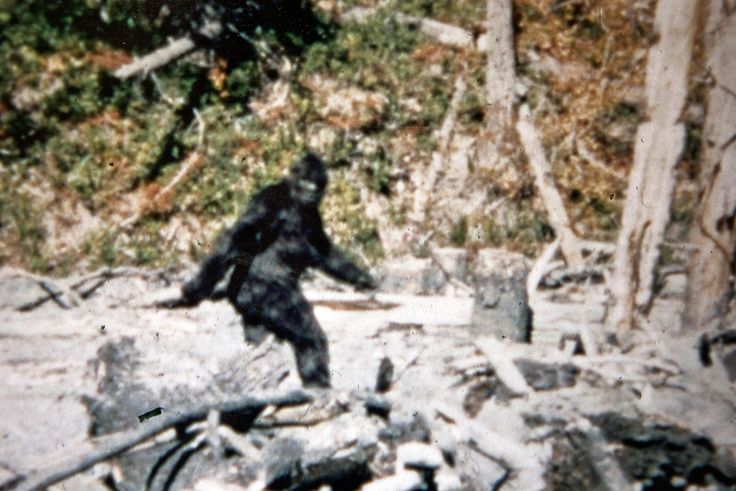 Sasquatch-A-Walk-In