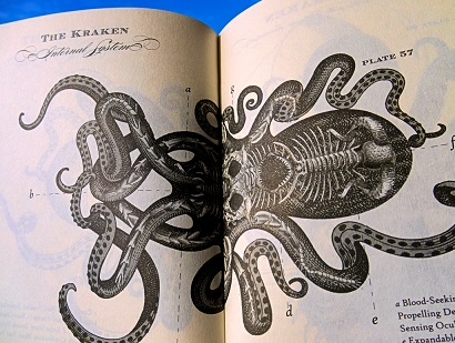 The-Kraken-Shall-Rise-Again